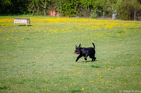 DSC_3755.jpg