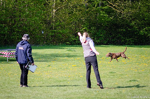 DSC_3777.jpg