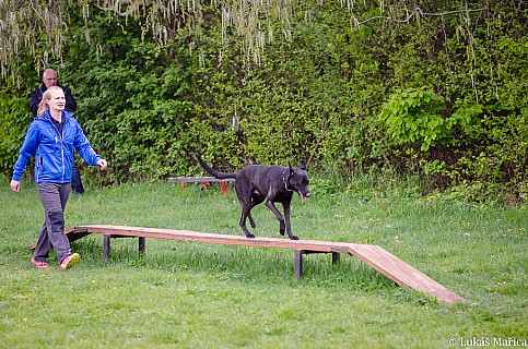 DSC_3842.jpg