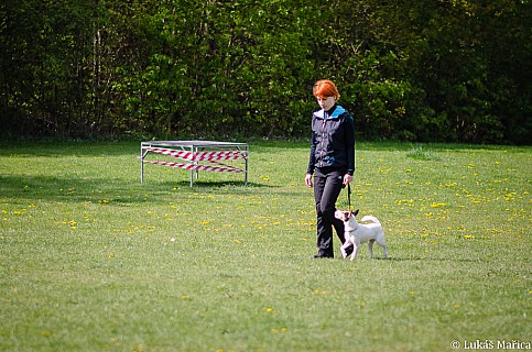DSC_3862.jpg