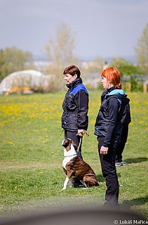 DSC_3909.jpg