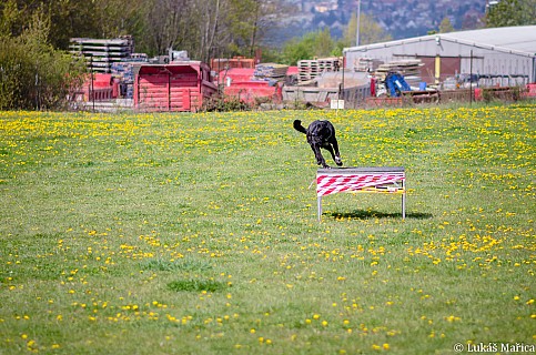DSC_3954.jpg