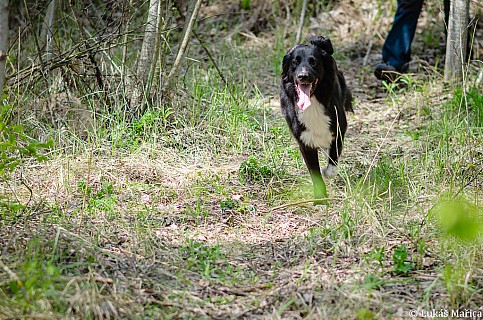 DSC_4124.jpg
