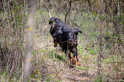 DSC_4277.jpg