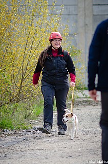 DSC_4336.jpg