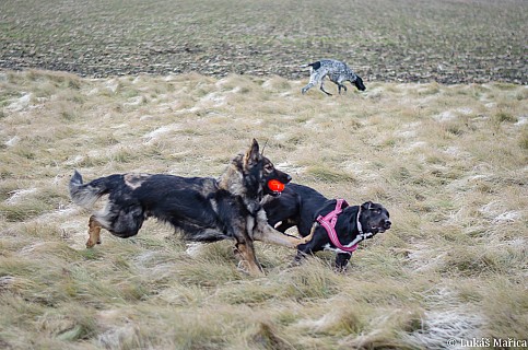 DSC_5340.jpg