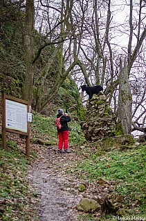 DSC_5360.jpg