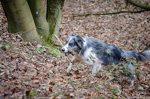 DSC_5407.jpg