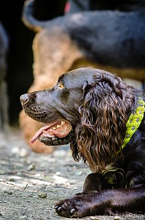 DSC_6145.jpg