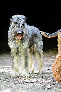DSC_6149.jpg