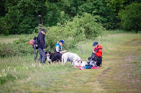 DSC_6309.jpg