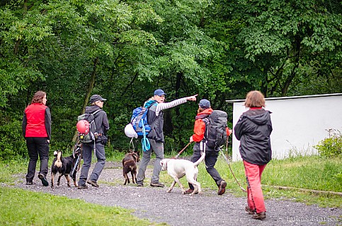 DSC_6317.jpg