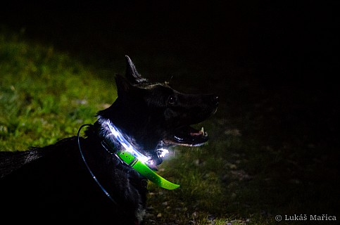 DSC_6443.jpg