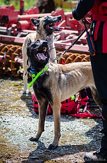 DSC_6618.jpg