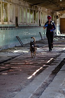 DSC_6629.jpg