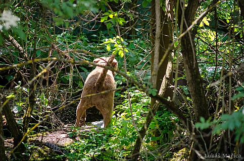 DSC_6642.jpg