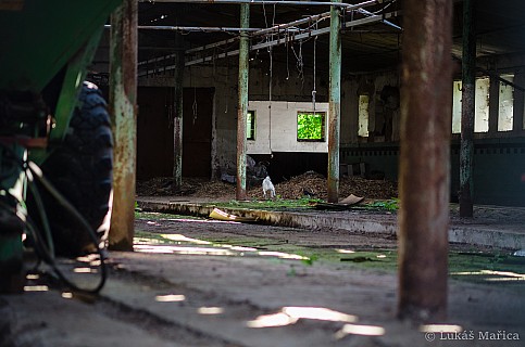DSC_6679.jpg