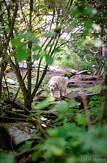 DSC_6694.jpg