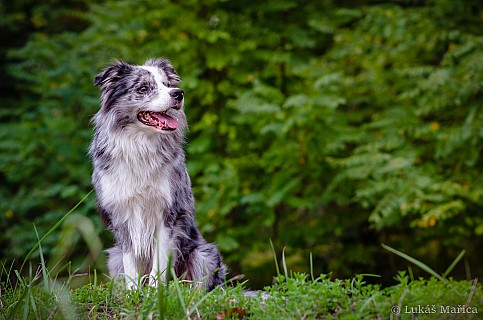 DSC_8522.jpg